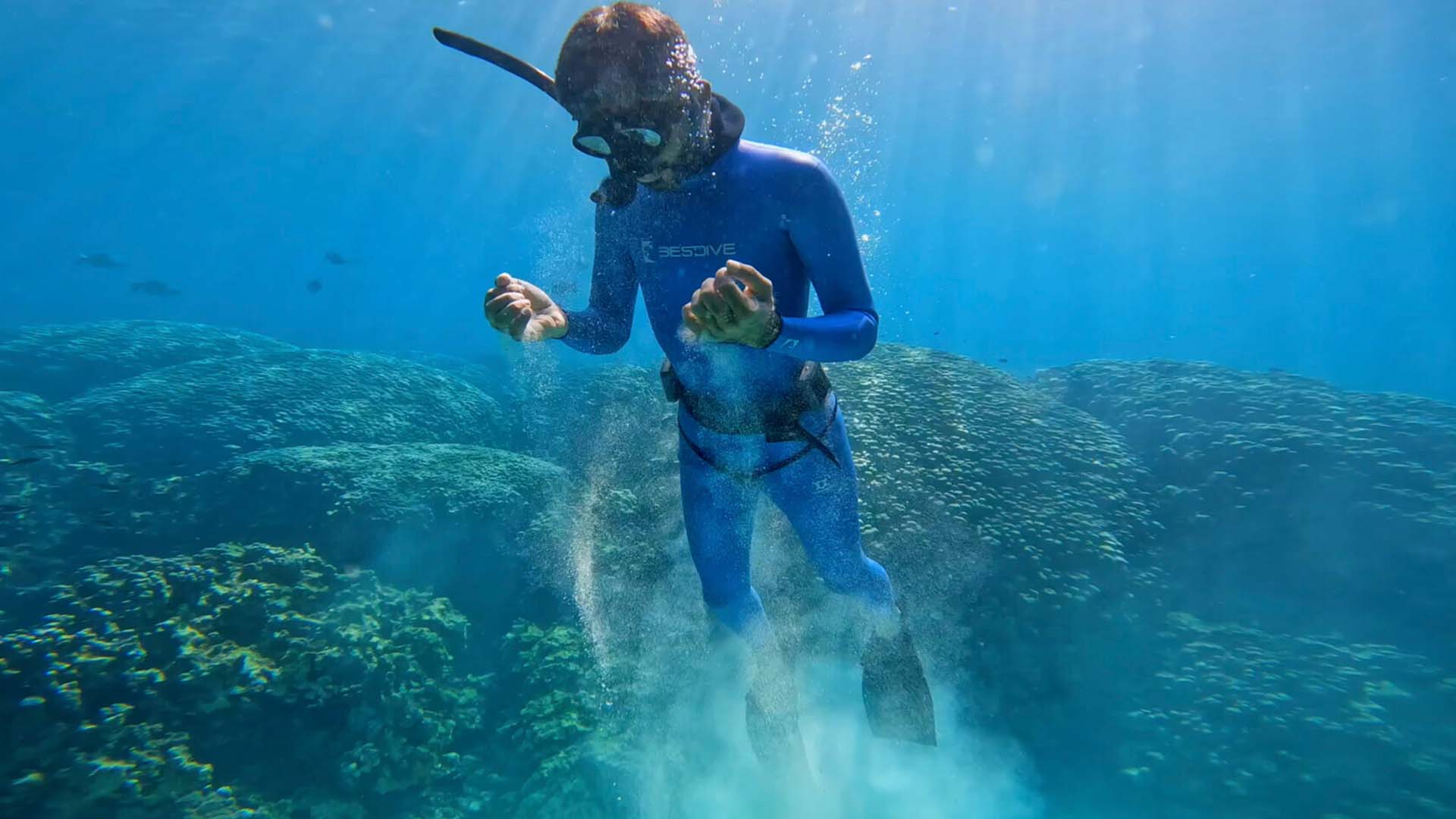 Never Dive Alone — Kaaffilm archive