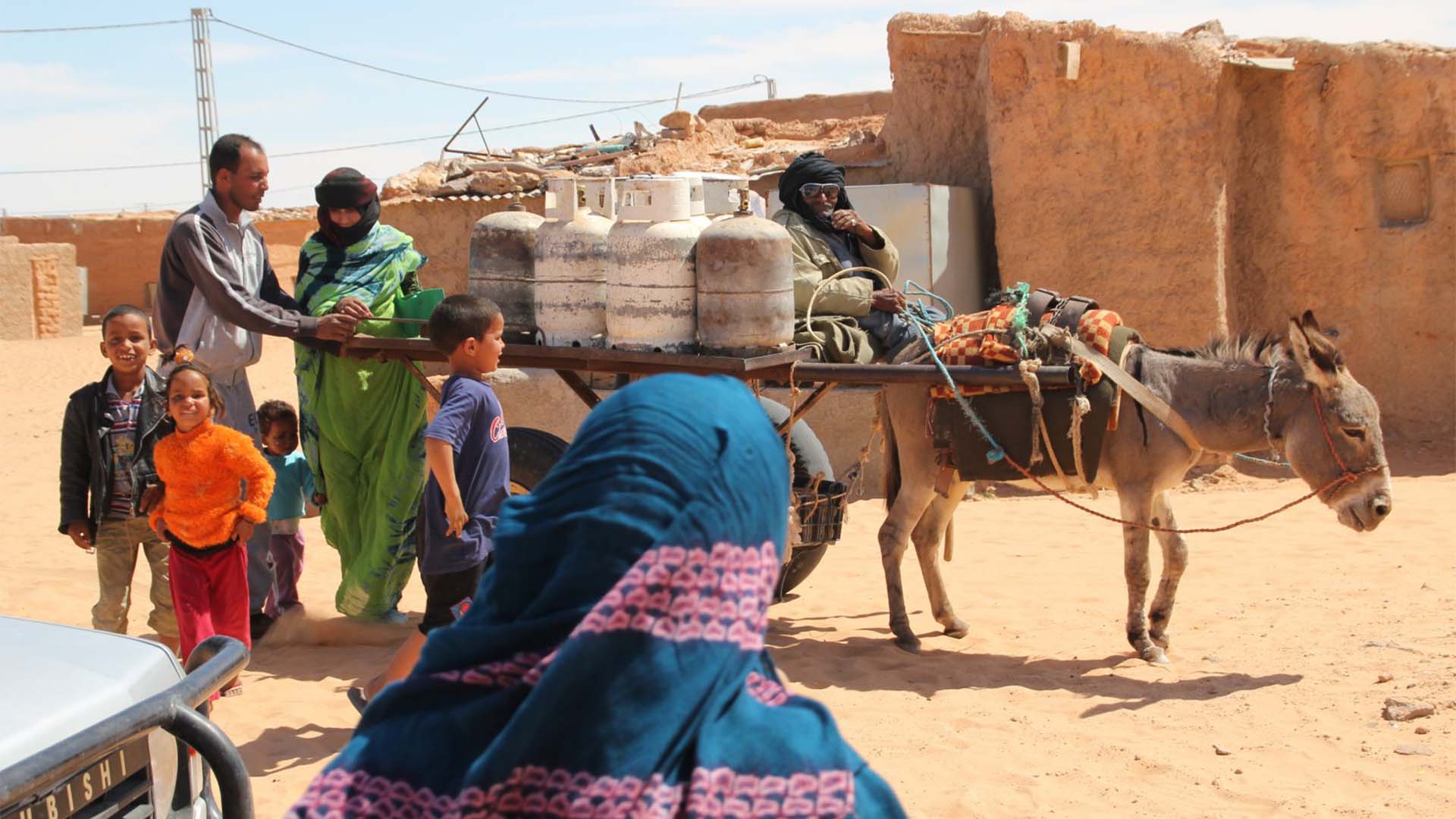 Dakhla: cinema and oblivion — Kaaffilm archive