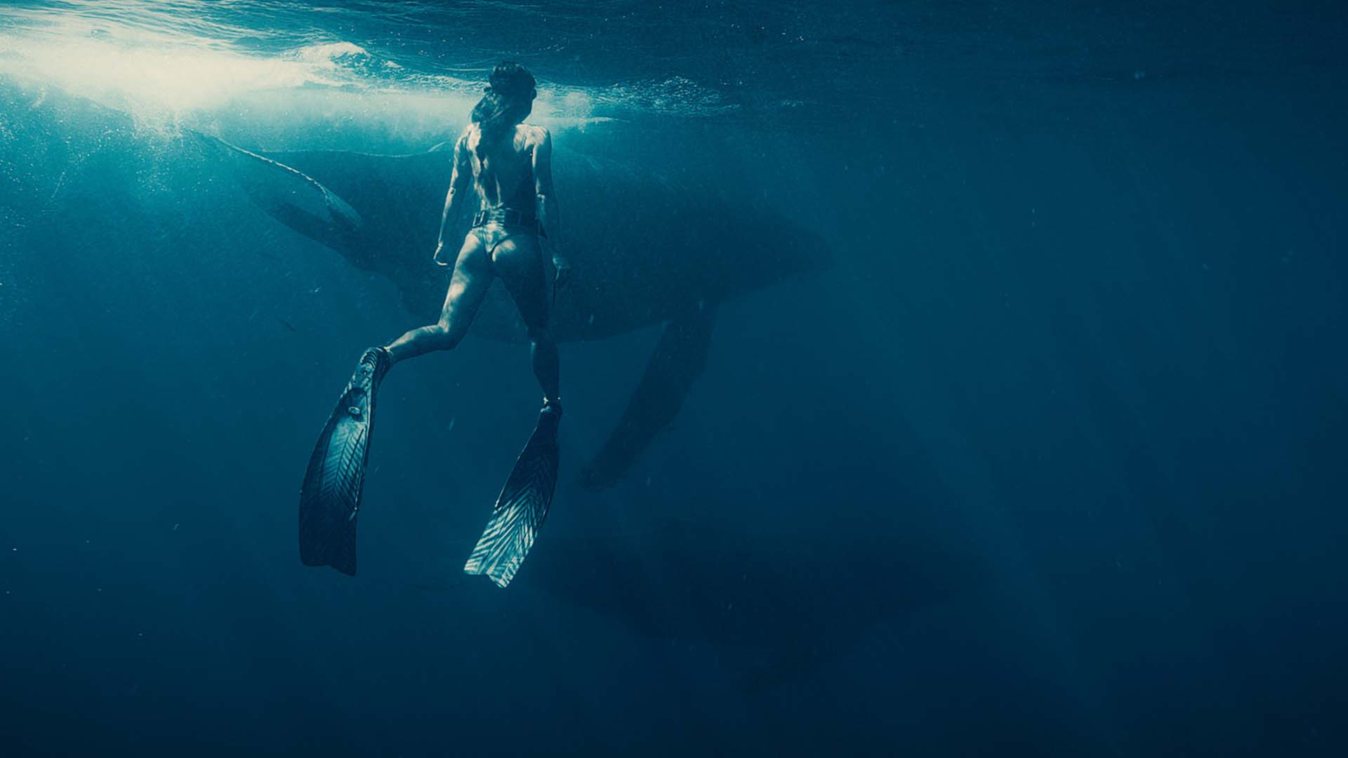 Echoes From The Blue Meadow — Kaaffilm archive