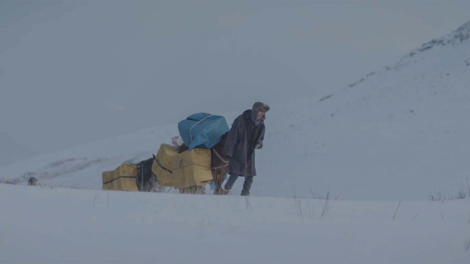 The Cold — Kaaffilm archive