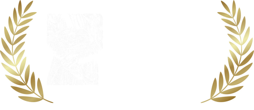 3rd Kaaffilm Awards Official Selection